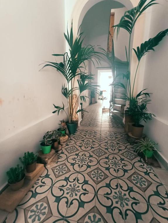 Dhara House Malta Bed and Breakfast Paola Eksteriør billede